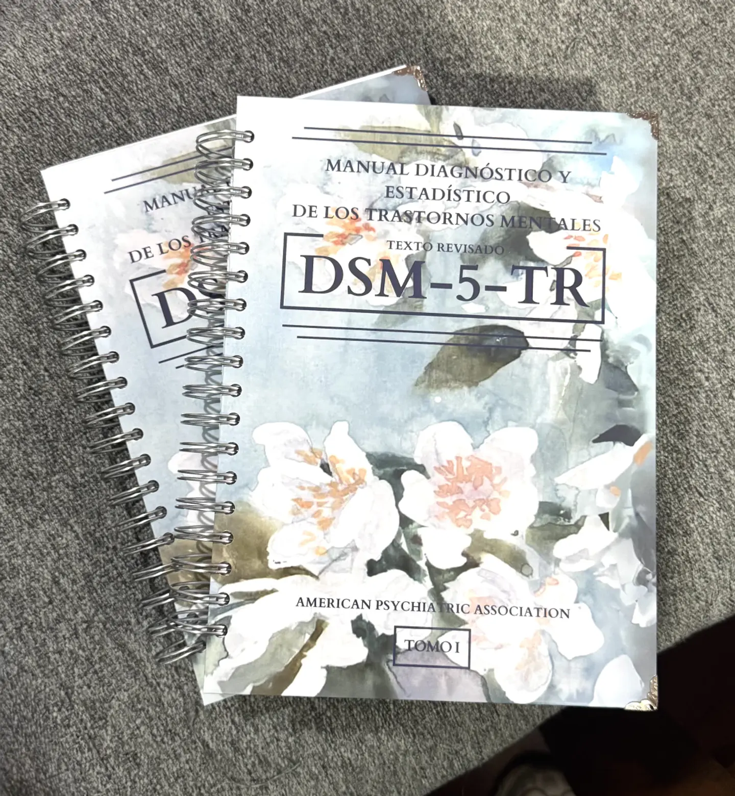 DSM 5 TR - Manual Diagnóstico y Estadístico de los Trastornos Mentales (última versión) (Personalizado) 7