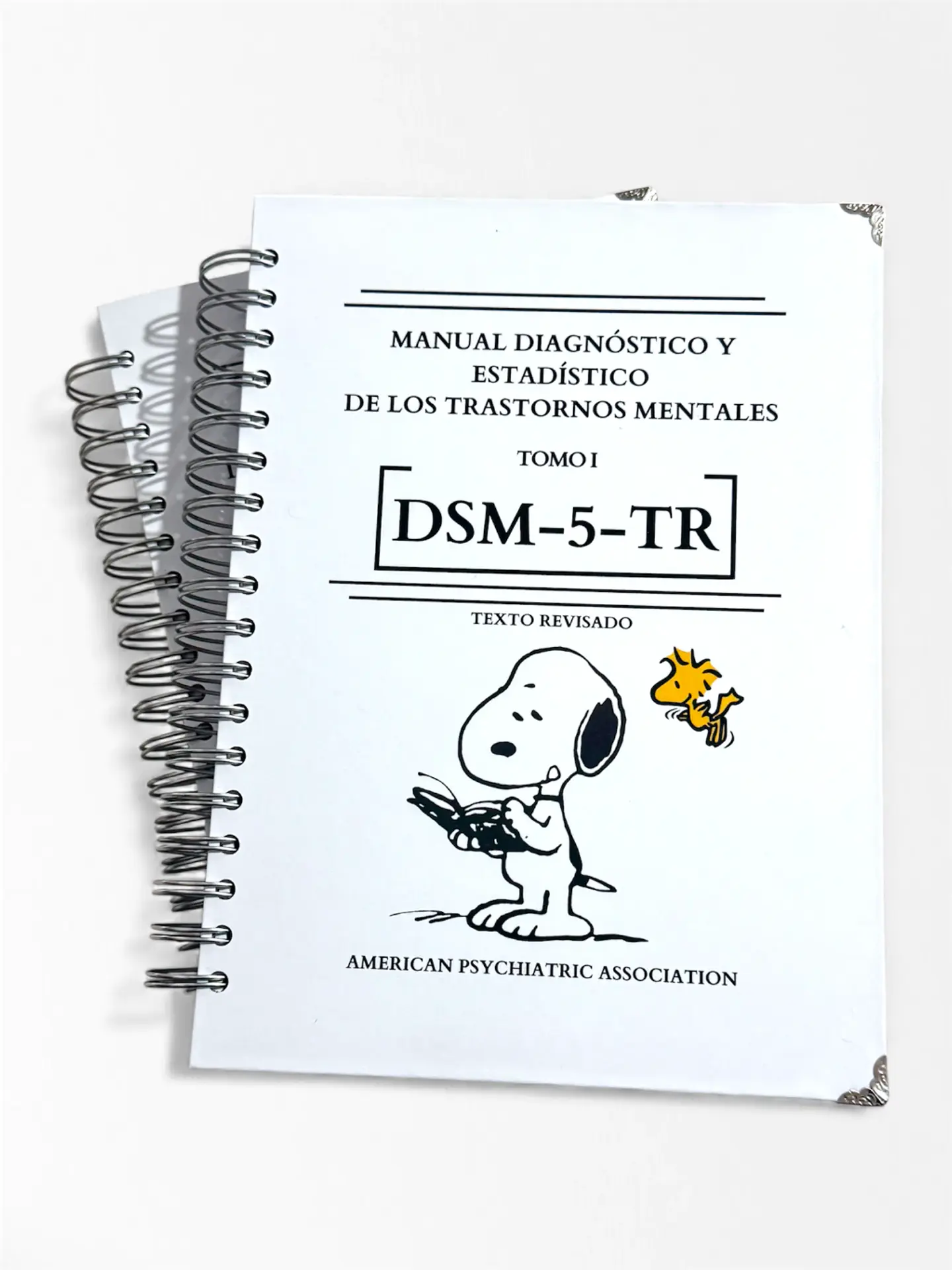 DSM 5 TR - Manual Diagnóstico y Estadístico de los Trastornos Mentales (última versión) (Personalizado) 9