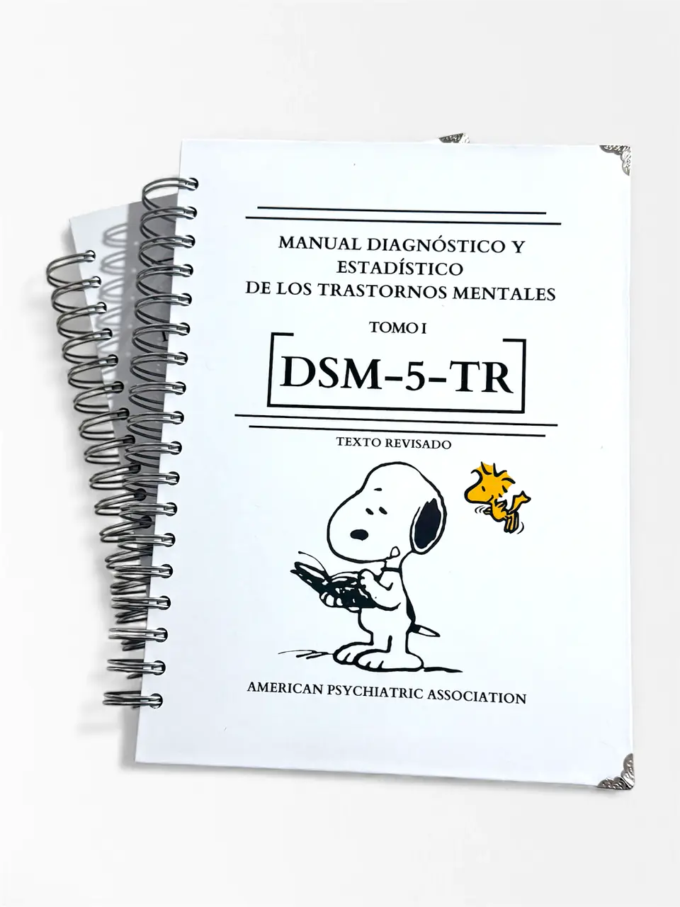 DSM 5 TR - Manual Diagnóstico y Estadístico de los Trastornos Mentales (última versión) (Personalizado) 9