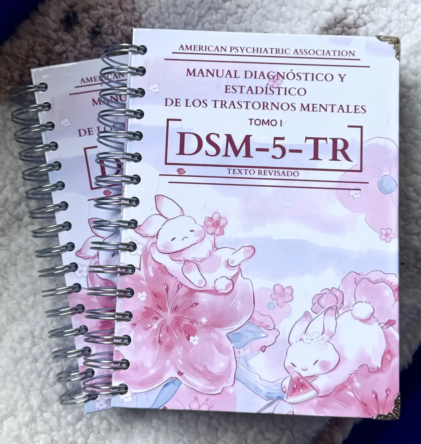 DSM 5 TR - Manual Diagnóstico y Estadístico de los Trastornos Mentales (última versión) (Personalizado) 12