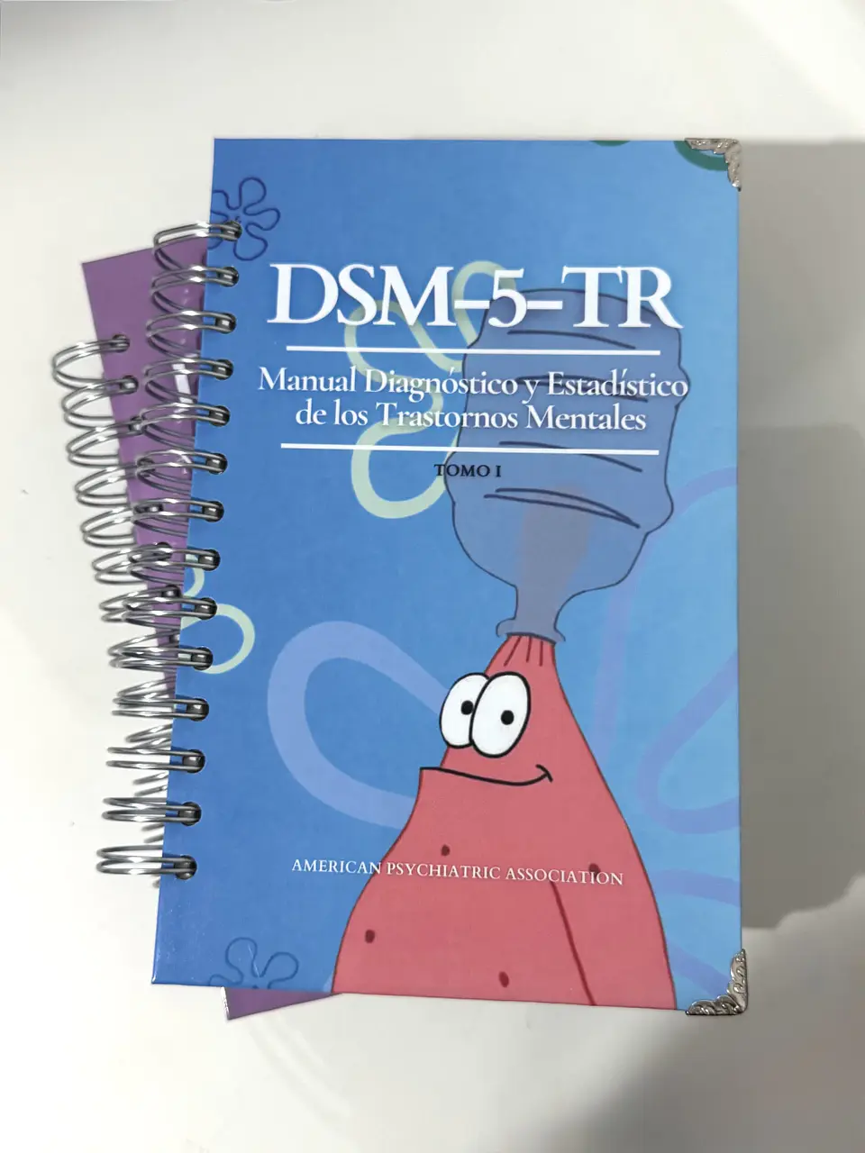 DSM 5 TR - Manual Diagnóstico y Estadístico de los Trastornos Mentales (última versión) (Personalizado) 14