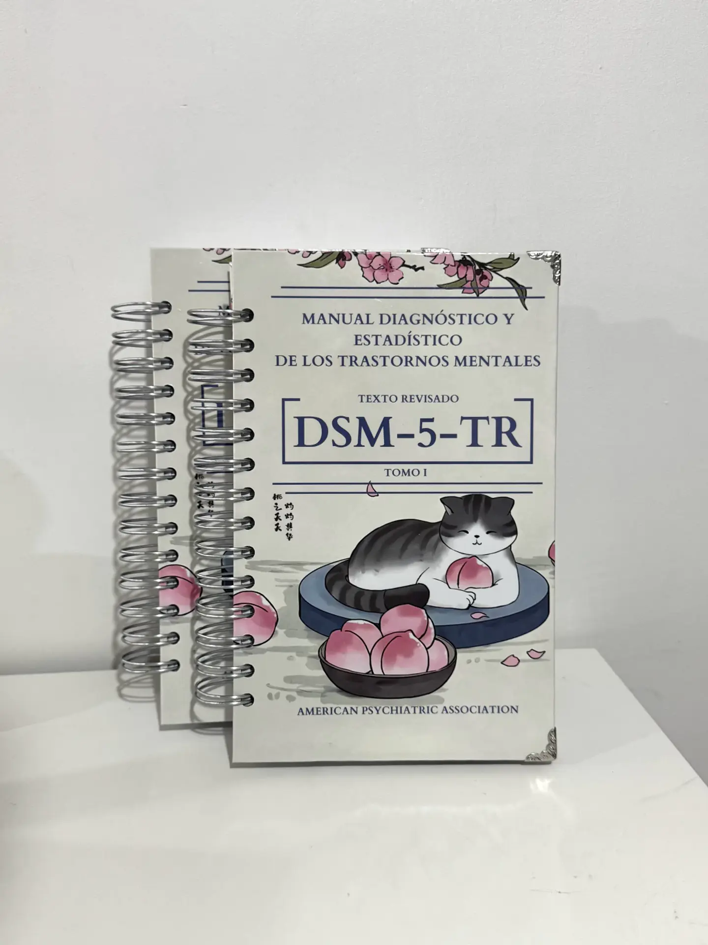 DSM 5 TR - Manual Diagnóstico y Estadístico de los Trastornos Mentales (última versión) (Personalizado) 15