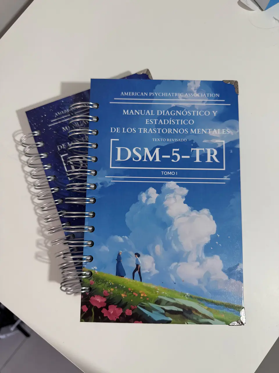 DSM 5 TR - Manual Diagnóstico y Estadístico de los Trastornos Mentales (última versión) (Personalizado) 16