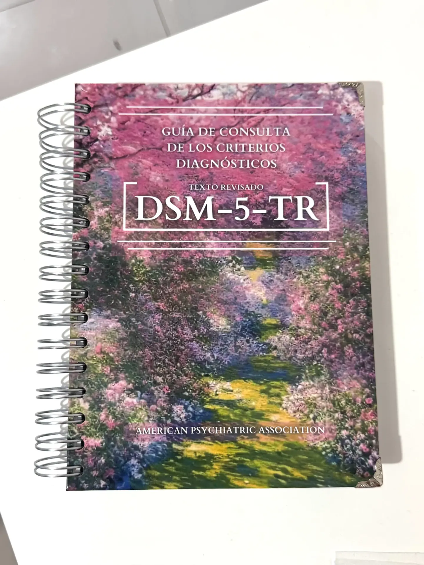 DSM 5 TR - Guía de los criterios diagnósticos (última versión) (Personalizado) 2