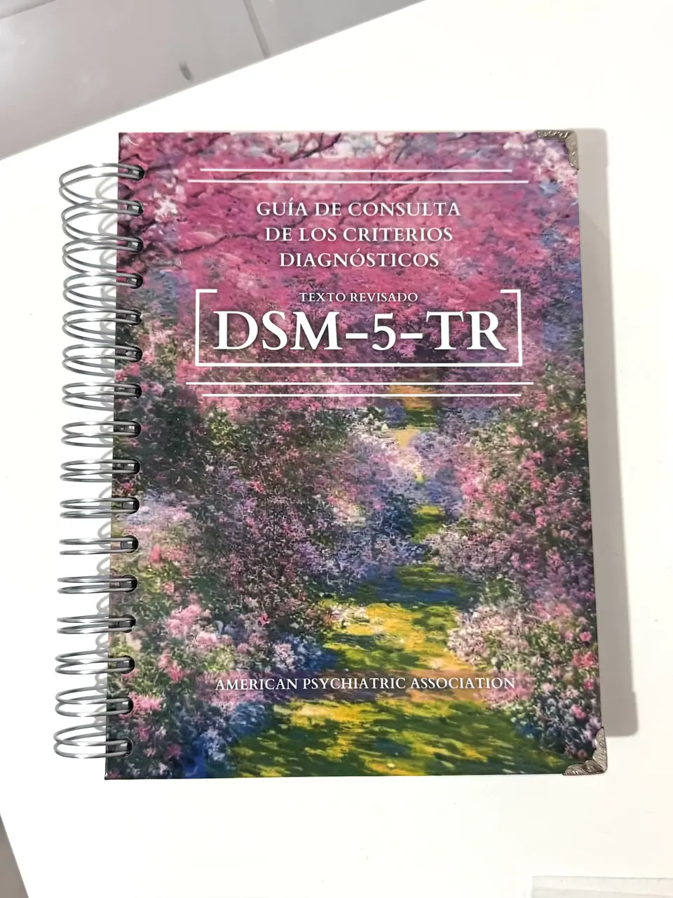 DSM 5 TR - Guía de los criterios diagnósticos (última versión) (Personalizado) 2