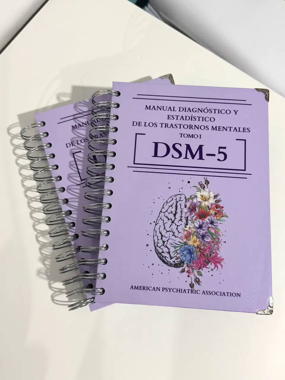 DSM 5 - Manual Diagnóstico y Estadístico de los Trastornos Mentales (Personalizado) 5