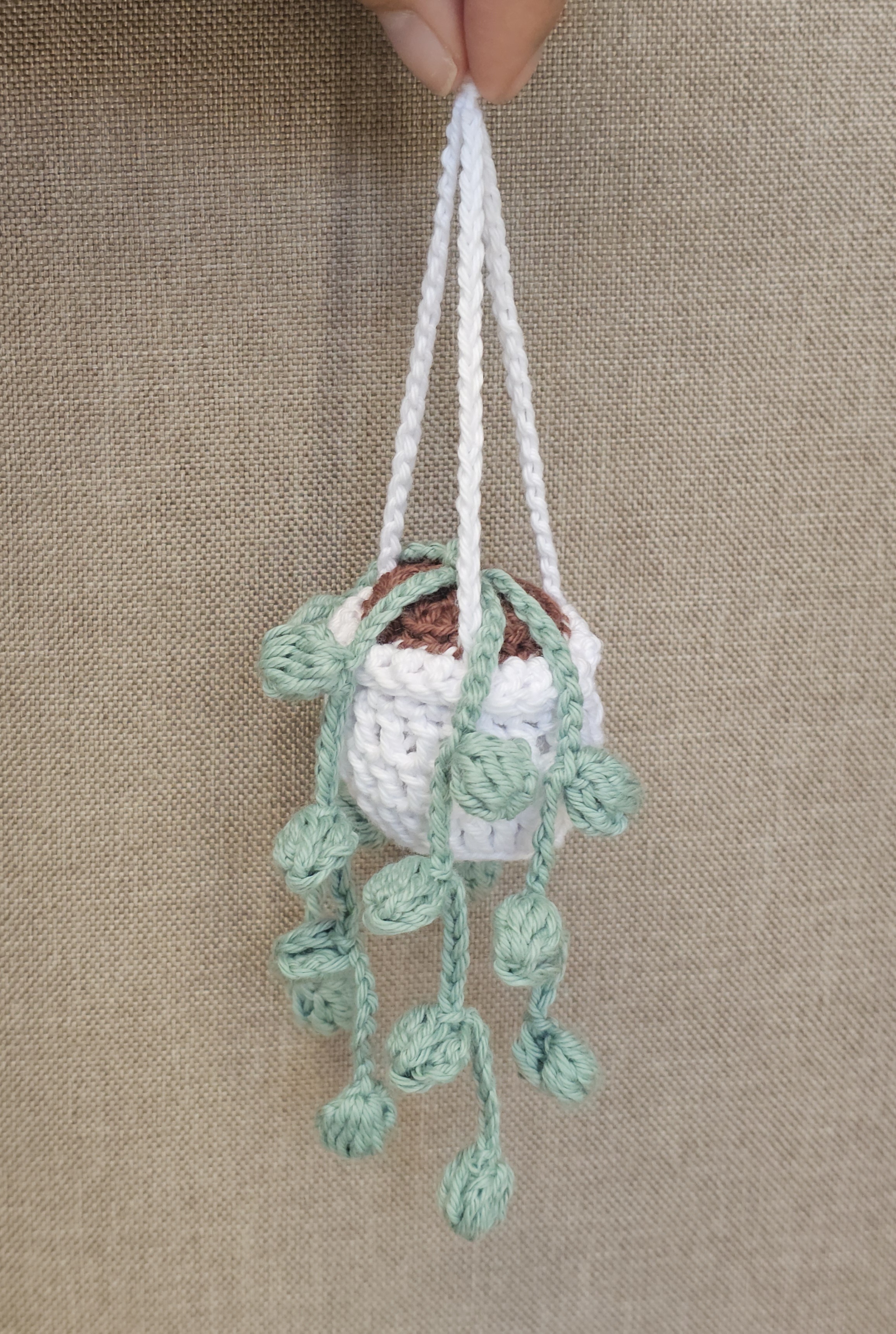 Taller de Crochet Botánico: Colgante y Planta Tejida desde Cero | Con Miriam