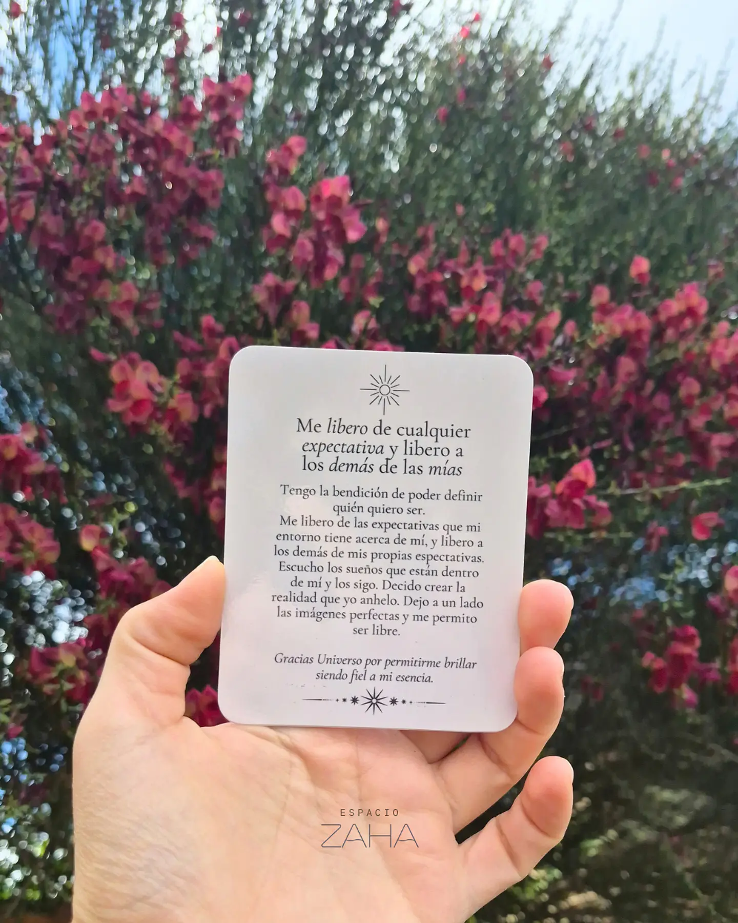 ​Mensajes del Universo — Mazo de Cartas de Manifestación y Guía Diaria   3