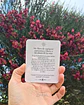 ​Mensajes del Universo — Mazo de Cartas de Manifestación y Guía Diaria   - Miniatura 3