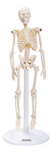 Esqueleto 22 Cm