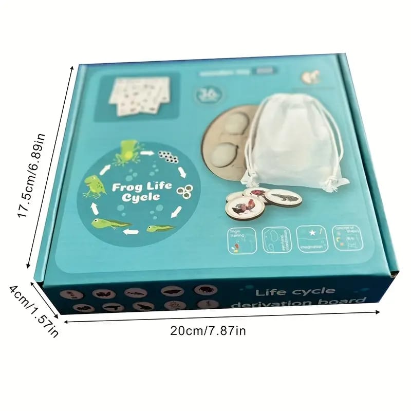 Puzzle Circular Ciclo De Vida