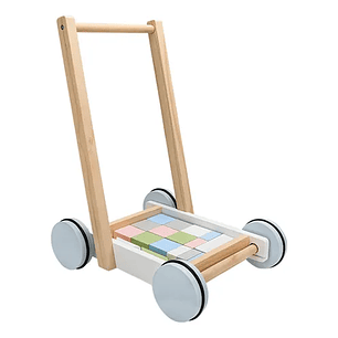 Carro Caminador Economico