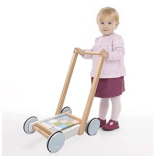 Carro Caminador Economico