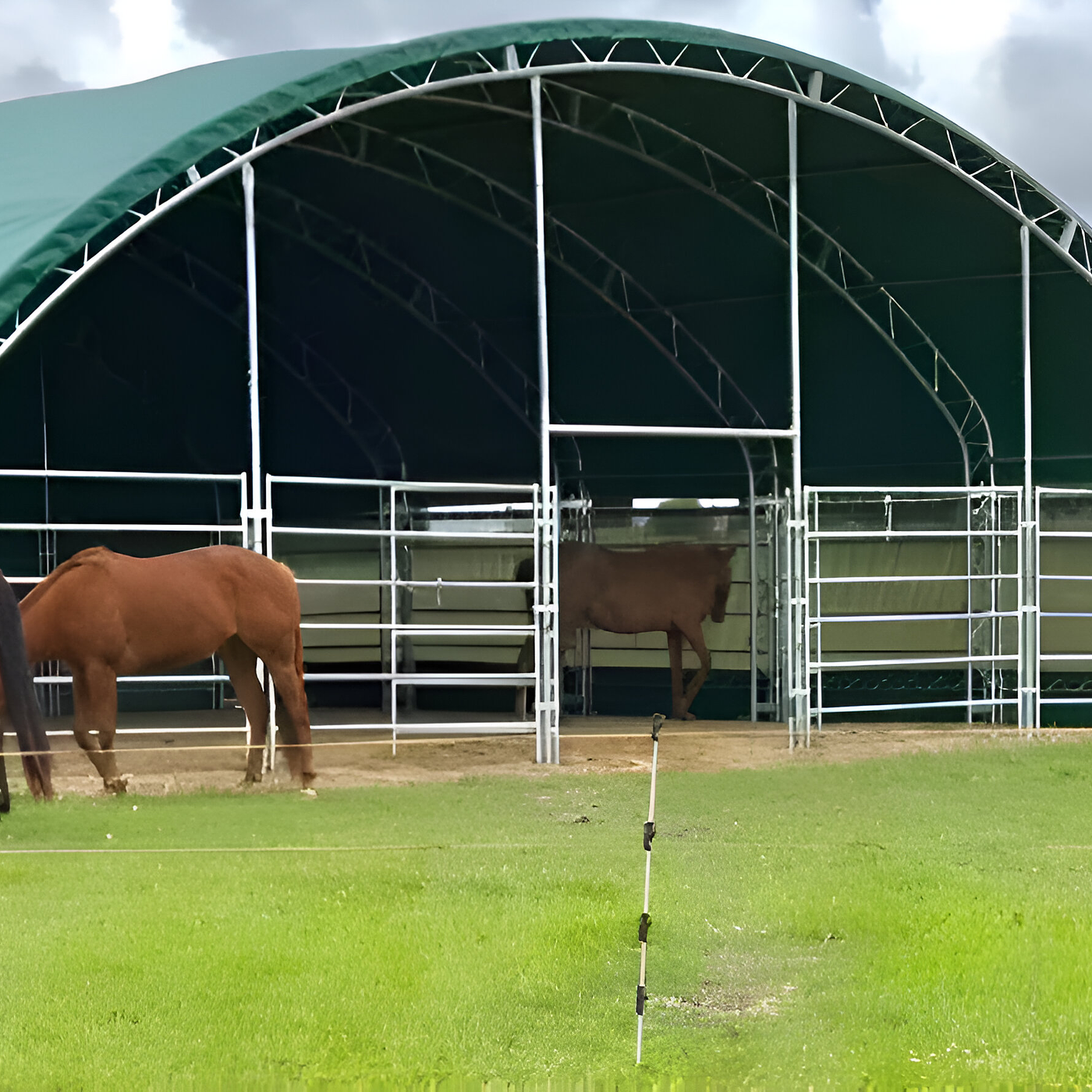 CARPA CORRAL 8 M X 8 M 1
