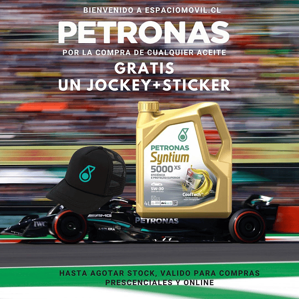 Sprinta F500 10w30 1 lts - Petronas 2