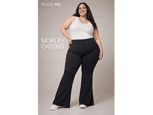 CALZA PANTALON OXFORD 3XL-4XL - MORLEY