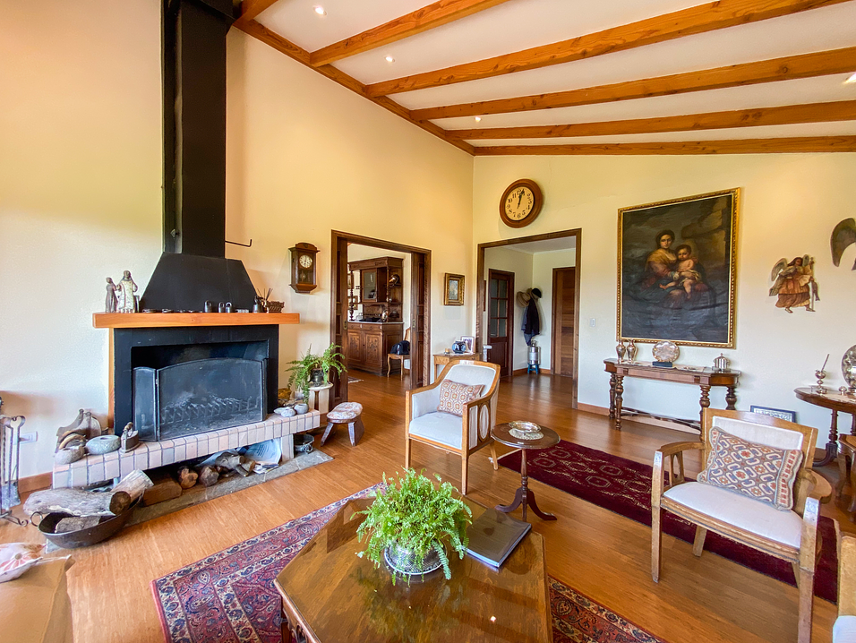 Imagen obtenida con un Iphone 11