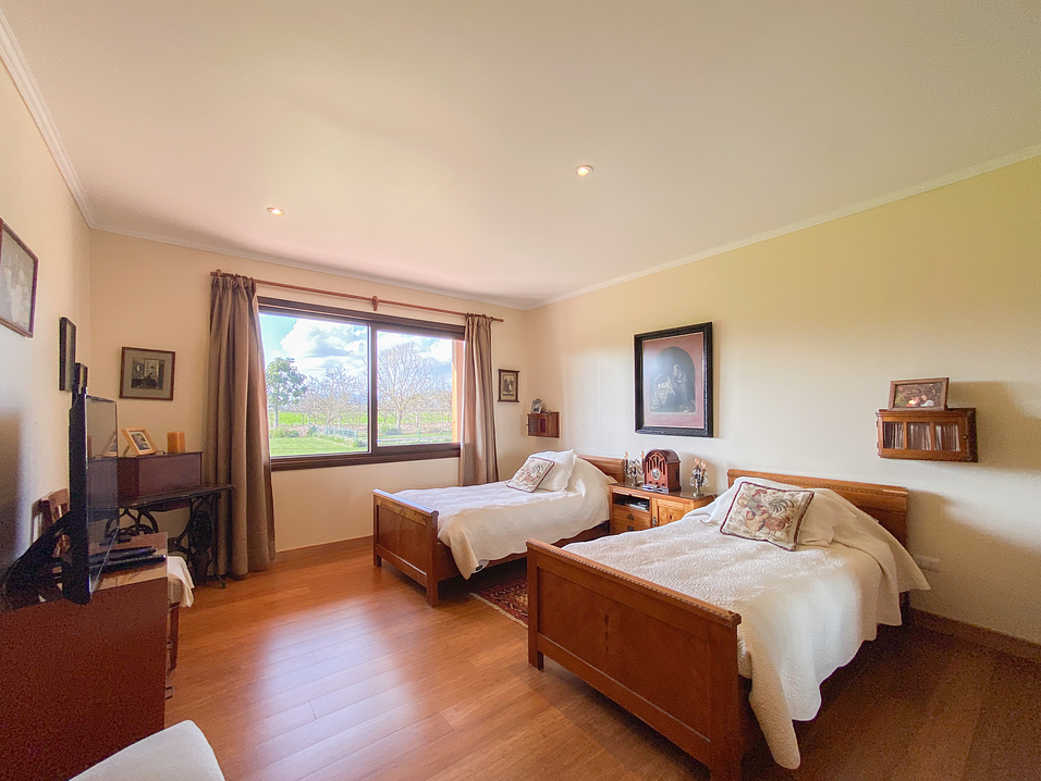 Imagen obtenida con un Iphone 11