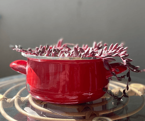 Lágrimas de Rubíes en Olla Envejecida