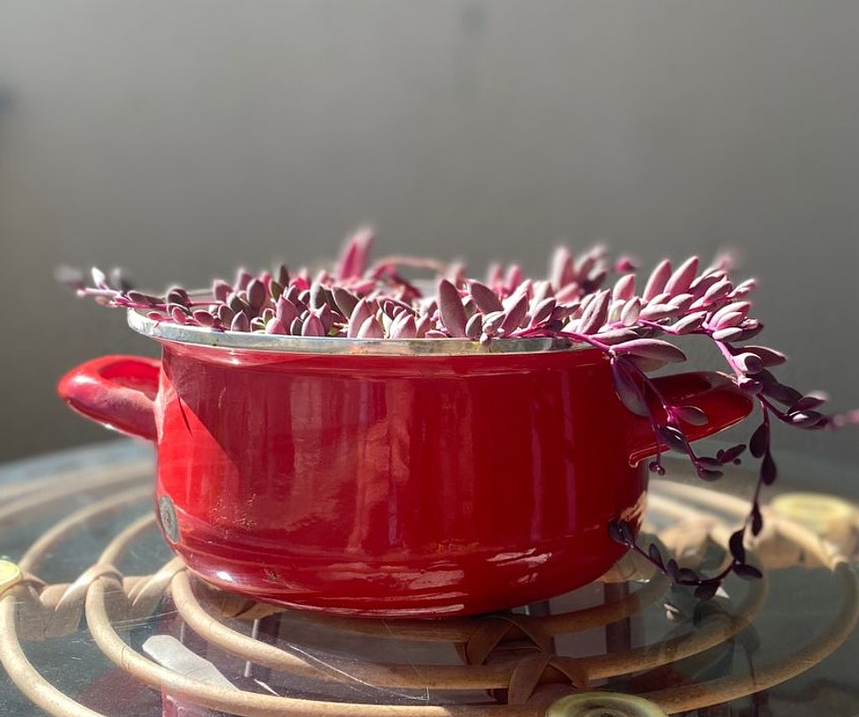 Lágrimas de Rubíes en Olla Envejecida 1