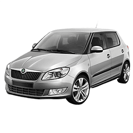 Luna Espejo Retrovisor Para Skoda Fabia 2010-2014