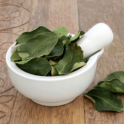 Hojas de Lima Kaffir