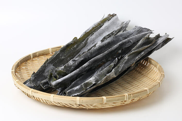 Alga Kombu