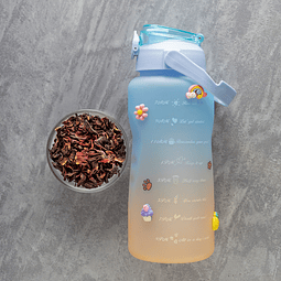 Pack Hibisco + Botella motivacional