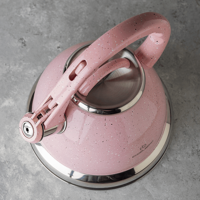 Tetera silbante de acero inoxidable (3.2 Litros)