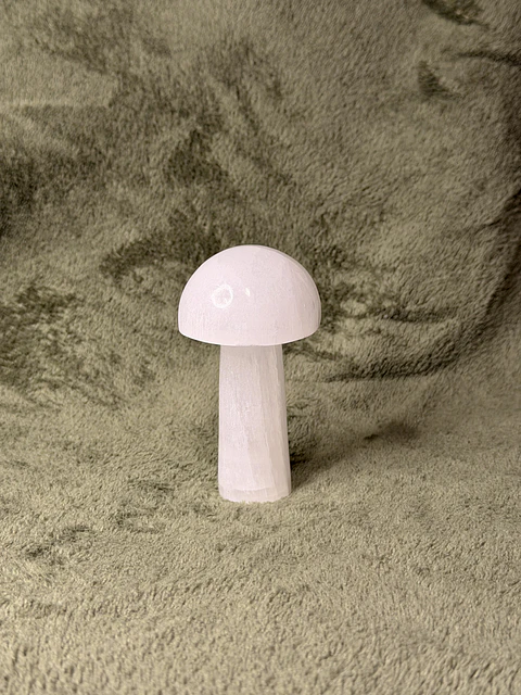 Cogumelo de Selenite – Limpeza Energética