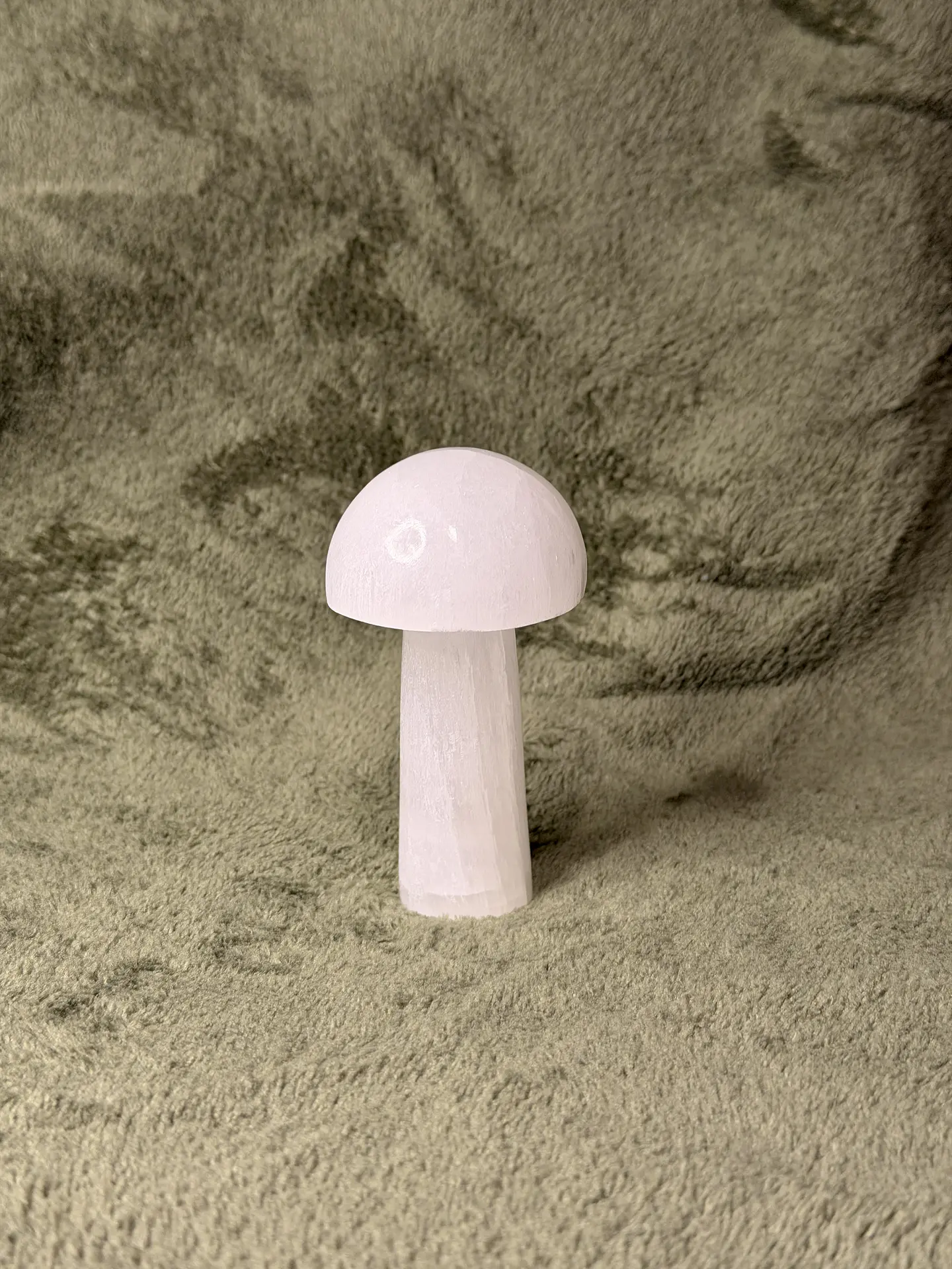 Cogumelo de Selenite – Limpeza Energética 1
