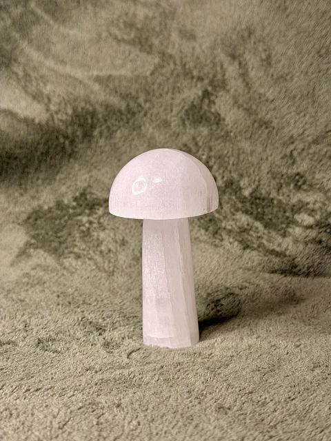Cogumelo de Selenite – Limpeza Energética