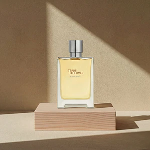 Hermès Terre d'Hermès Eau Givrée