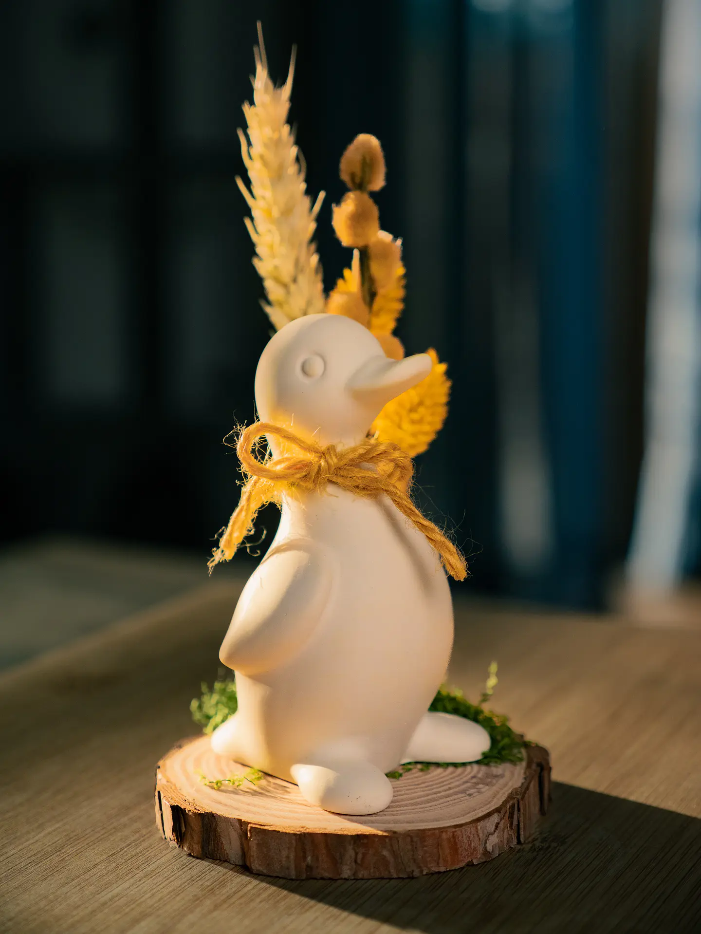Pato do Campo 2