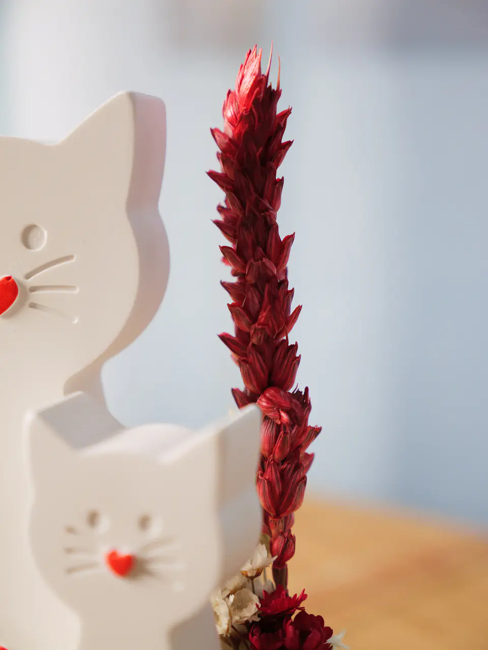 Gatinhos de Memórias 9
