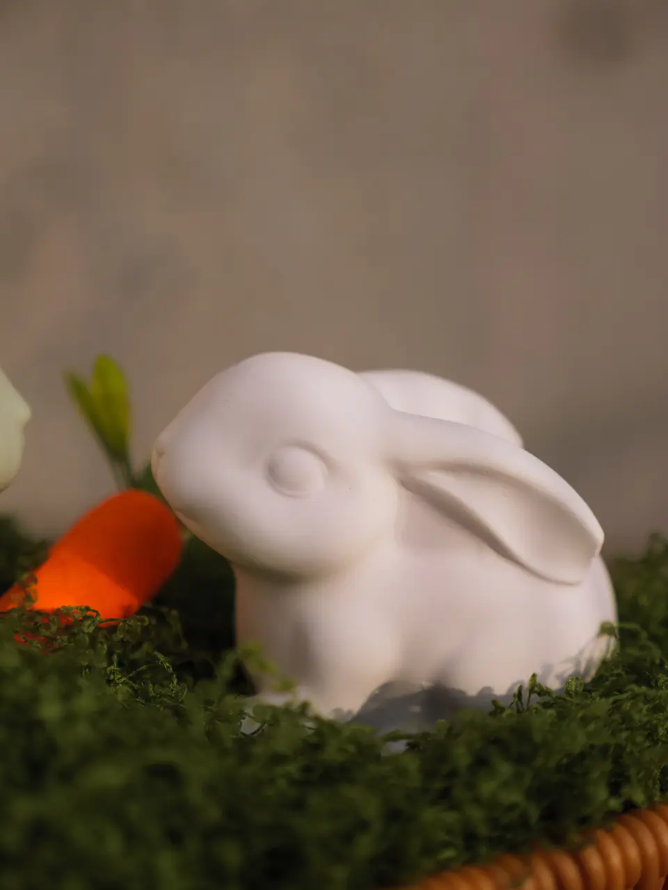 Jardim de Coelhos 3