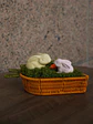Jardim de Coelhos - Thumbnail 4