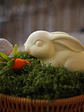 Jardim de Coelhos - Thumbnail 2