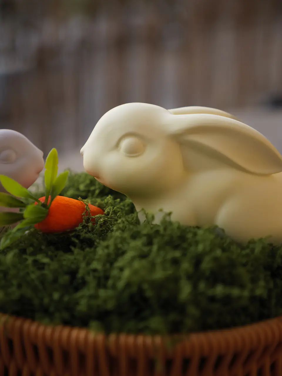 Jardim de Coelhos 2