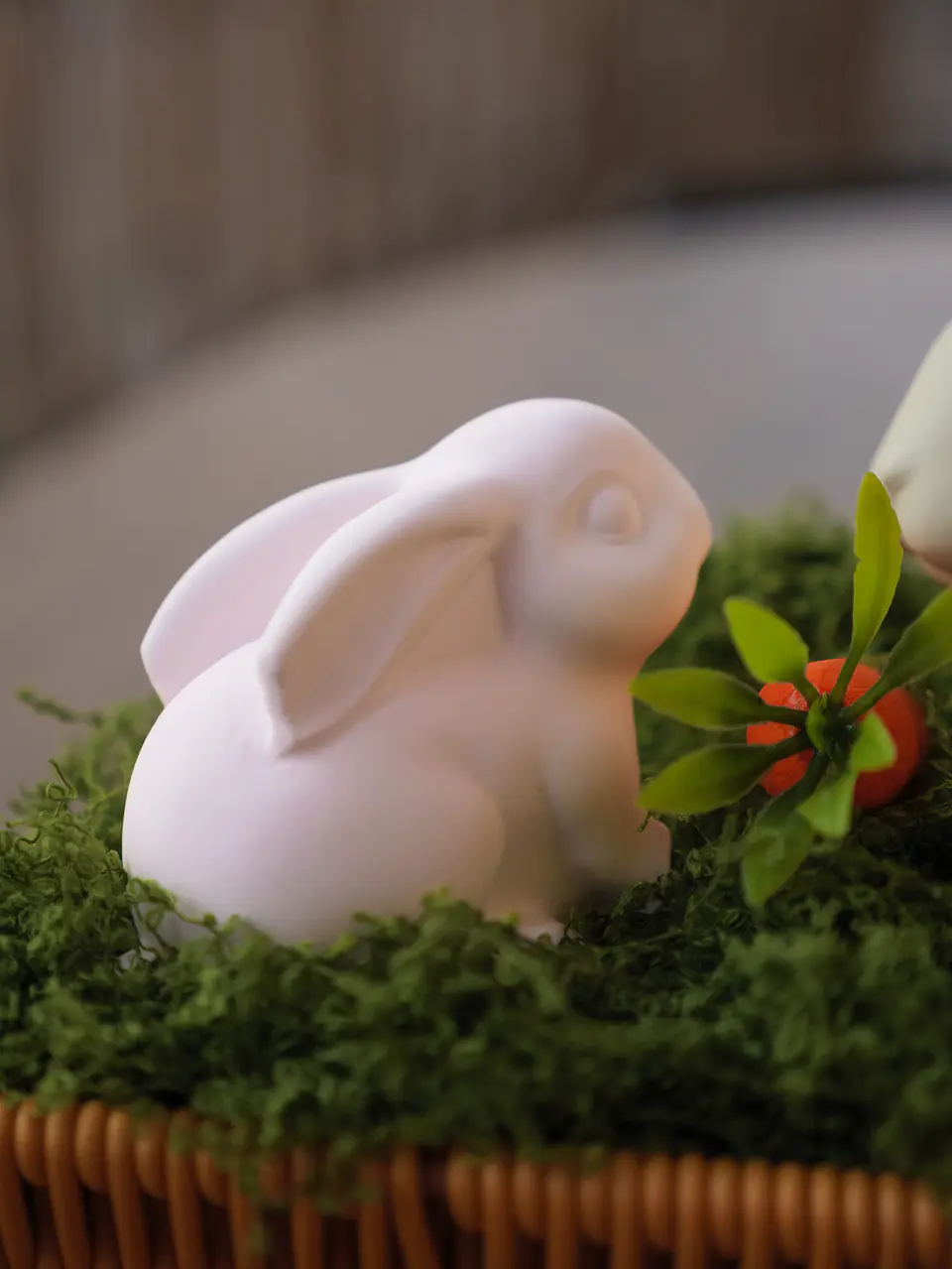 Jardim de Coelhos 5