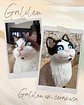 O Teu Gato em Cerâmica - Thumbnail 1