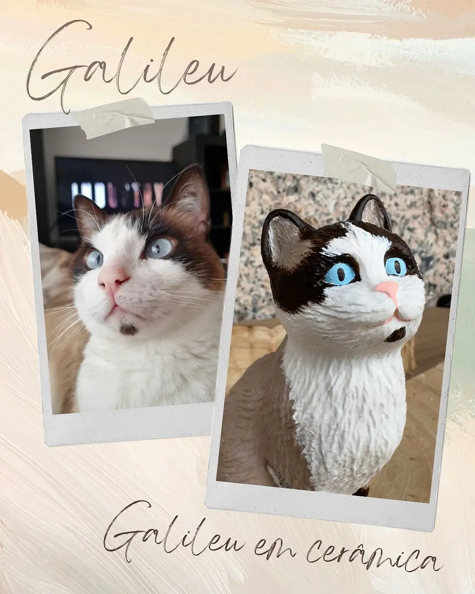 O Teu Gato em Cerâmica 1
