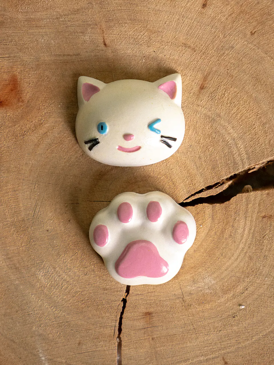 Íman Gatinhos (Carinha + Patinha) 5