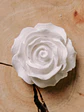 Íman Rosa - Thumbnail 3