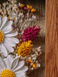 Moldura Margaridas - Thumbnail 3
