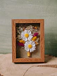 Moldura Margaridas - Thumbnail 5