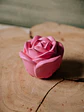 Caixa Rosas - Thumbnail 7