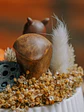 Arranjo Outono - Thumbnail 6