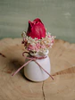 Jarro Tulipa - Thumbnail 6