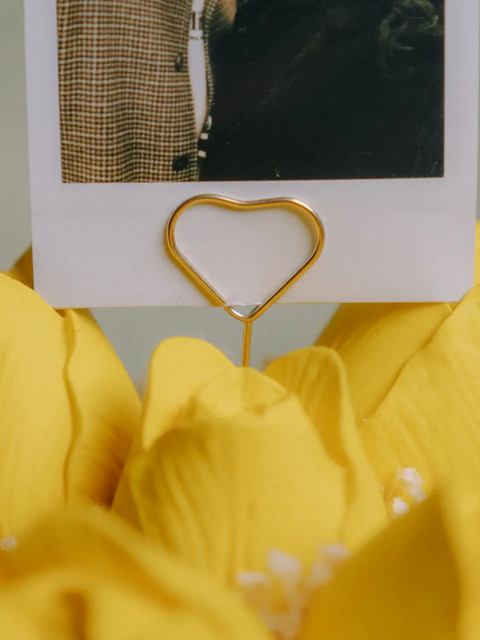 Arranjo Tulipas + Polaroid 4